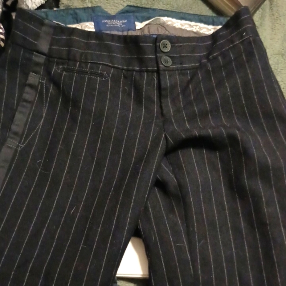 Dress Pants